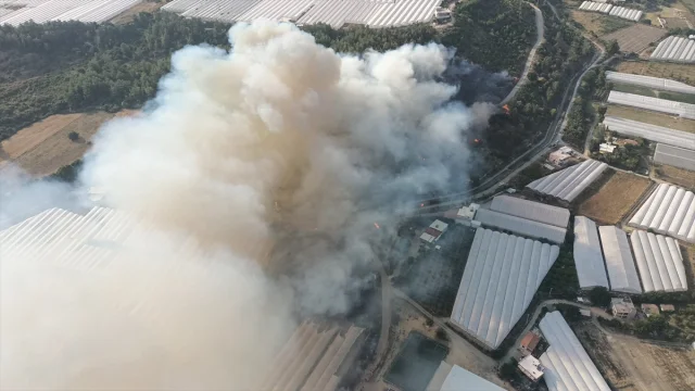 Antalya'da İki Ayrı Noktada Orman Yangını Endişesi