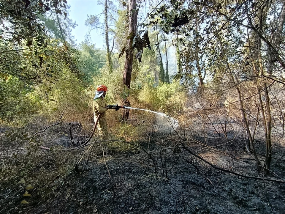 Osmaniye'nin Kadirli İlçesindeki Orman Yangınına Hızlı Müdahale