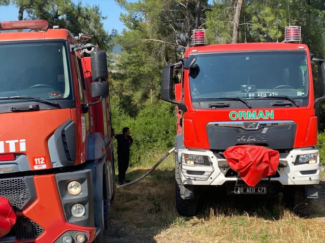 Osmaniye'nin Kadirli İlçesindeki Orman Yangınına Hızlı Müdahale