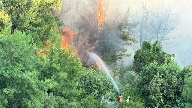 Antalya'da İki Ayrı Noktada Orman Yangını Endişesi