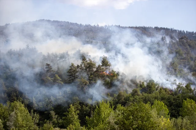 Sakarya'da Orman Yangınlarıyla Mücadele Sürüyor