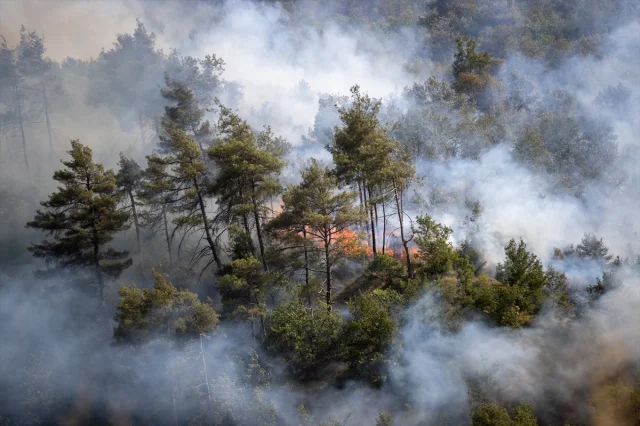 Sakarya'da Orman Yangınlarıyla Mücadele Sürüyor