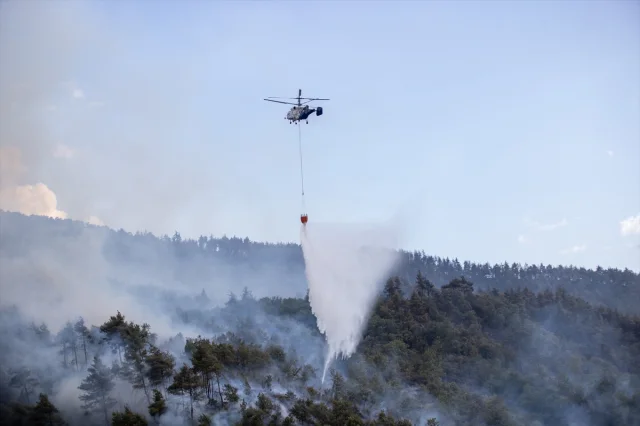 Sakarya'da Orman Yangınlarıyla Mücadele Sürüyor