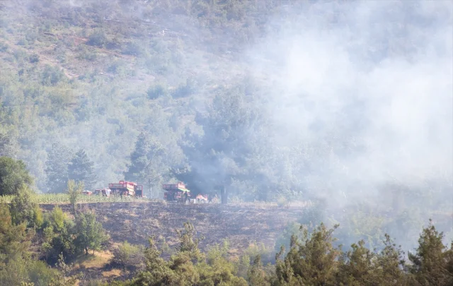 Sakarya'da Orman Yangınlarıyla Mücadele Sürüyor