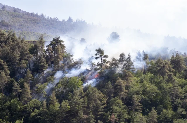 Sakarya'da Orman Yangınlarıyla Mücadele Sürüyor