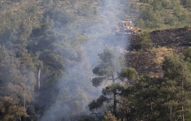 Sakarya'da Orman Yangınlarıyla Mücadele Sürüyor
