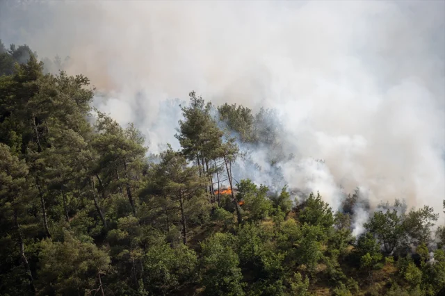 Sakarya'da Orman Yangınlarıyla Mücadele Sürüyor
