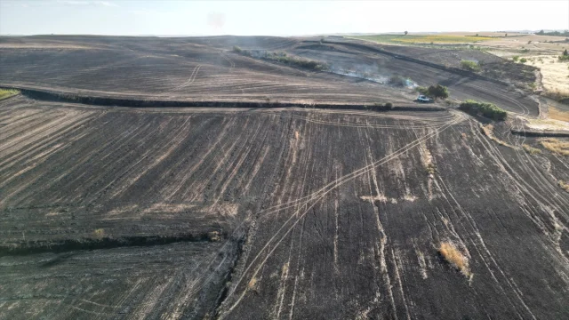 Tekirdağ'da Büyük Yangın 1500 Dekar Tarım Arazisini Küle Çevirdi