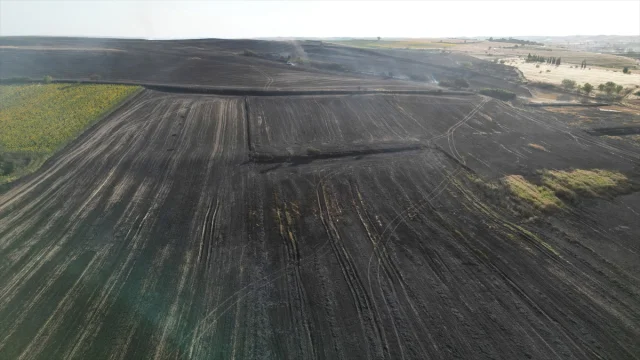 Tekirdağ'da Büyük Yangın 1500 Dekar Tarım Arazisini Küle Çevirdi