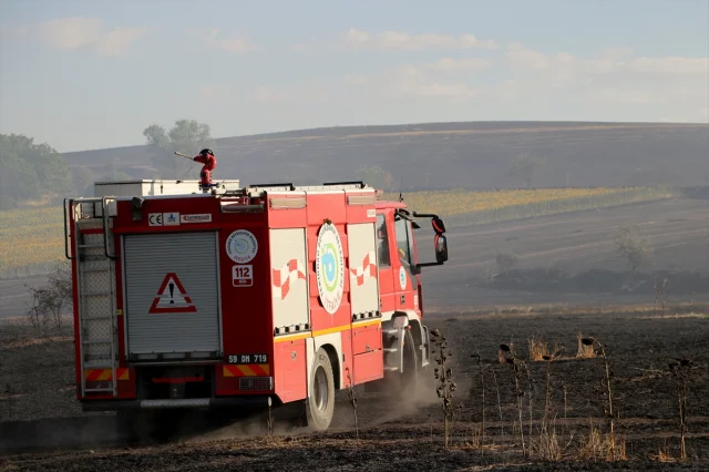 Tekirdağ'da Büyük Yangın 1500 Dekar Tarım Arazisini Küle Çevirdi