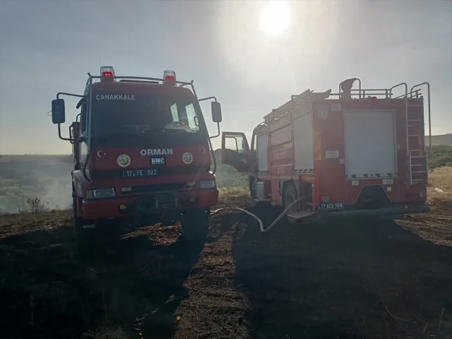 Çanakkale Gelibolu'da Tarım Alanlarında Büyük Yangın