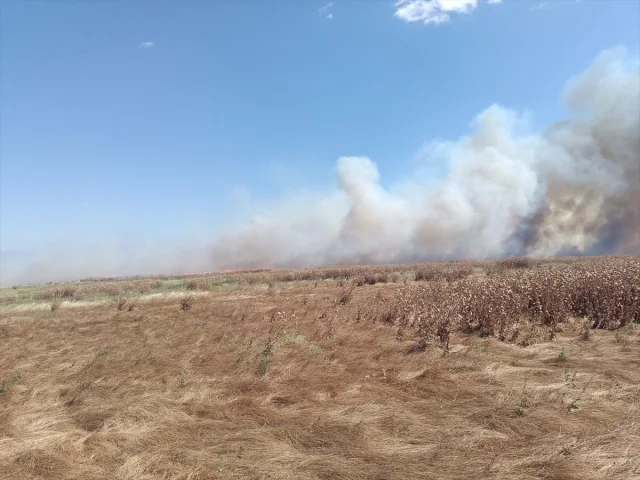 Çanakkale Gelibolu'da Tarım Alanlarında Büyük Yangın