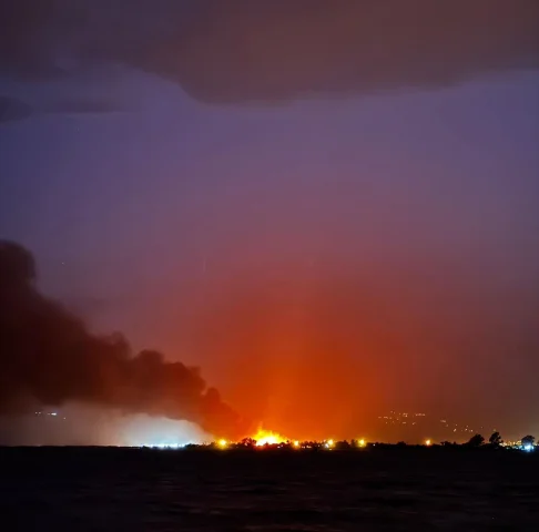 Göksu Deltası'nda Çıkan Yangının Ardından Mersin'de Endişe