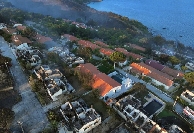 Seferihisar'da Orman Yangını Evlerde Büyük Hasara Yol Açtı