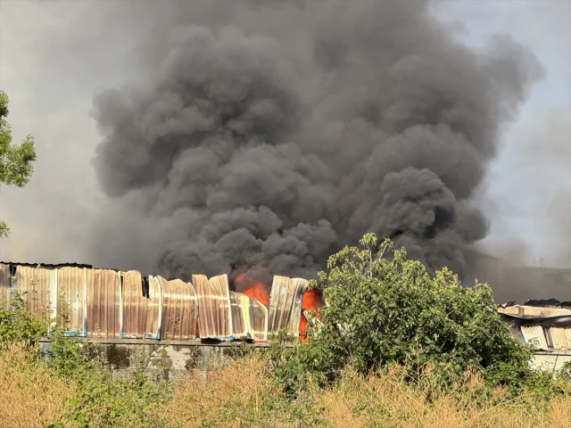 Kocaeli'de Geri Dönüşüm Tesisindeki Yangın Korku Yarattı