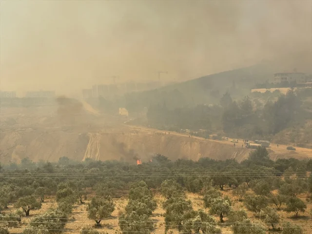 Hatay'da Çıkan Orman Yangını Korkuttu: Müdahale Devam Ediyor