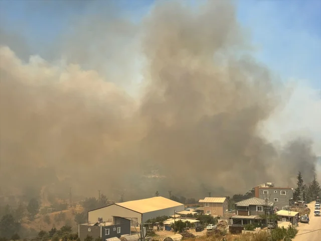 Hatay'da Çıkan Orman Yangını Korkuttu: Müdahale Devam Ediyor
