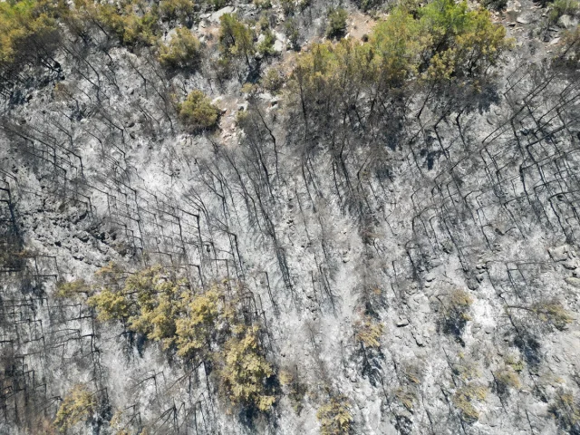 Antalya Gazipaşa'daki Orman Yangını Başarıyla Kontrol Altına Alındı