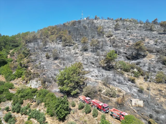 Antalya Gazipaşa'daki Orman Yangını Başarıyla Kontrol Altına Alındı