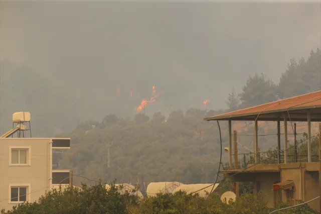 Hatay'da Çıkan Orman Yangını Korkuttu: Müdahale Devam Ediyor