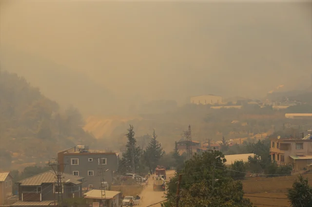 Hatay'da Çıkan Orman Yangını Korkuttu: Müdahale Devam Ediyor