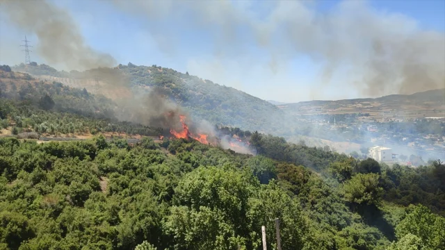 Osmaniye Düziçi'nde Orman Yangınına Karşı Başarılı Müdahale