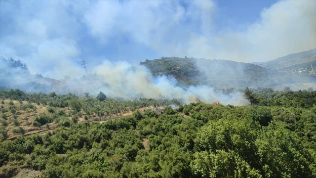 Osmaniye Düziçi'nde Orman Yangınına Karşı Başarılı Müdahale
