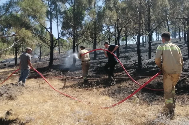Kahramanmaraş Orman Yangını Kısa Sürede Kontrol Altına Alınd...