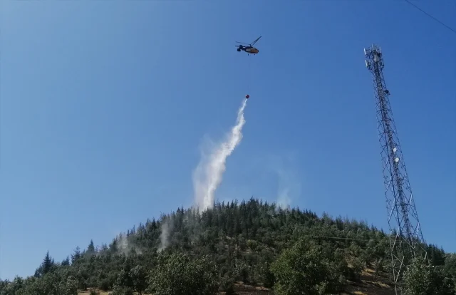 Kahramanmaraş Orman Yangını Kısa Sürede Kontrol Altına Alındı