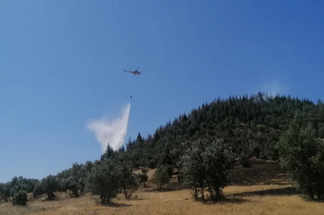 Kahramanmaraş Orman Yangını Kısa Sürede Kontrol Altına Alındı