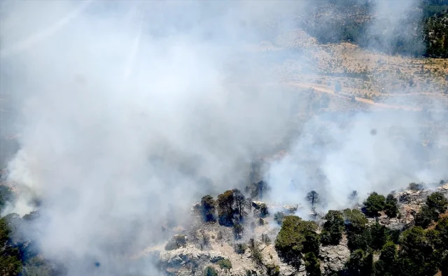 Mersin Ormanlarında Yangın Mücadelesi Devam Ediyor
