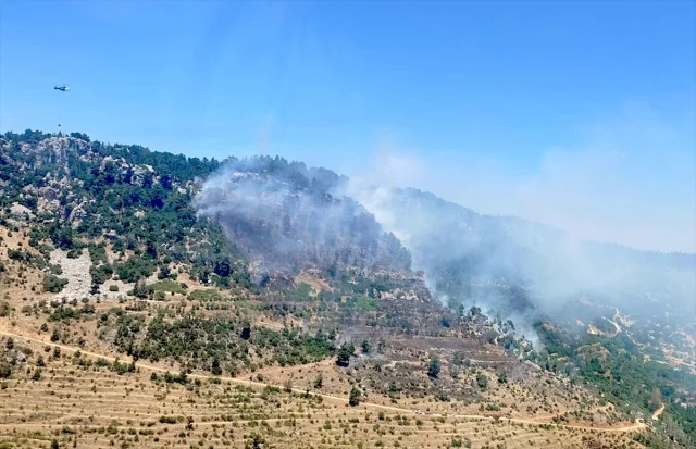 Mersin Ormanlarında Yangın Mücadelesi Devam Ediyor