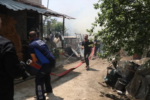 Hatay'daki Orman Yangını İle Mücadele Devam Ediyor