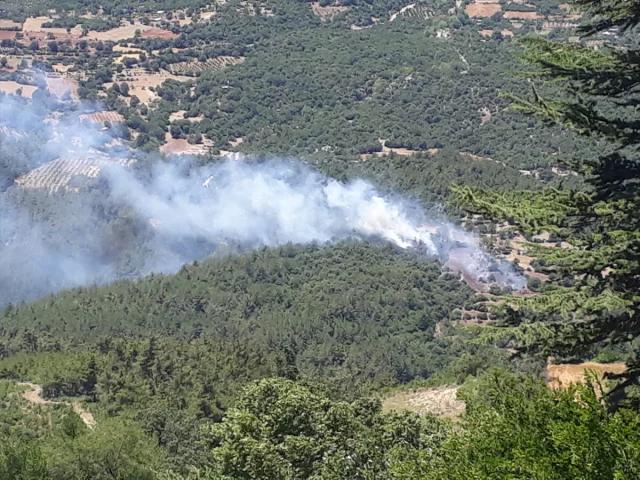 Adana'da Büyük Orman Yangını Başarıyla Söndürüldü