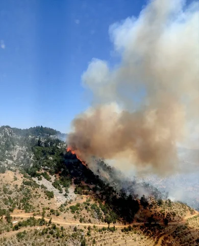 Mersin Ormanlarında Yangın Mücadelesi Devam Ediyor