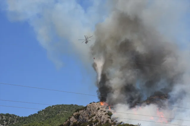 Bodrum'da Orman Yangınıyla Mücadele Devam Ediyor