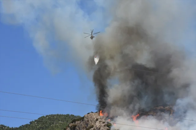 Bodrum'da Orman Yangınıyla Mücadele Devam Ediyor