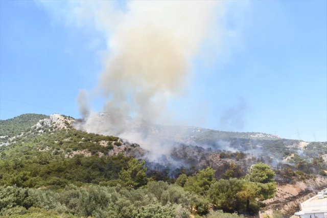 Bodrum'da Orman Yangınıyla Mücadele Devam Ediyor