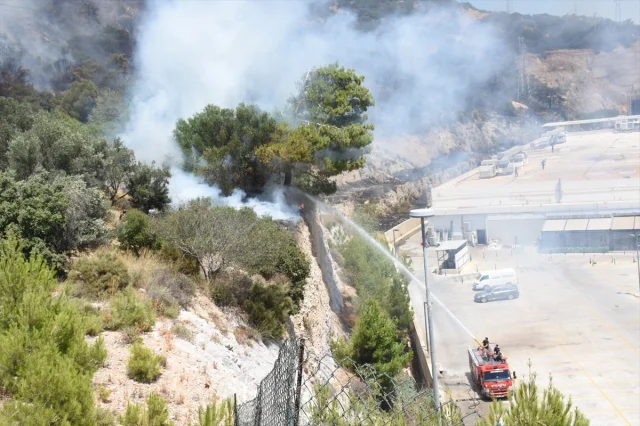 Bodrum'da Orman Yangınıyla Mücadele Devam Ediyor