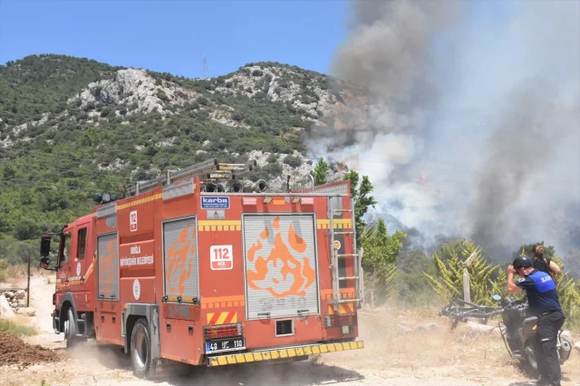 Bodrum'da Orman Yangınıyla Mücadele Devam Ediyor