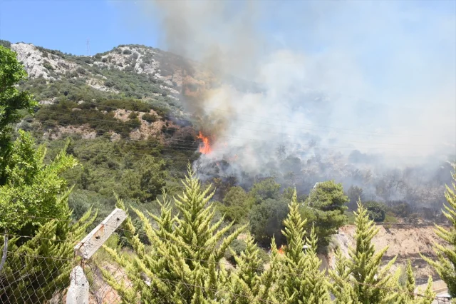Bodrum'da Orman Yangınıyla Mücadele Devam Ediyor