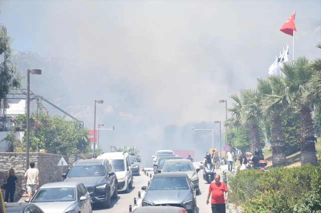 Bodrum'da Orman Yangınıyla Mücadele Devam Ediyor