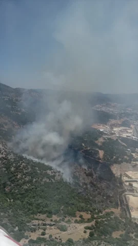 Bodrum'da Orman Yangınıyla Mücadele Devam Ediyor