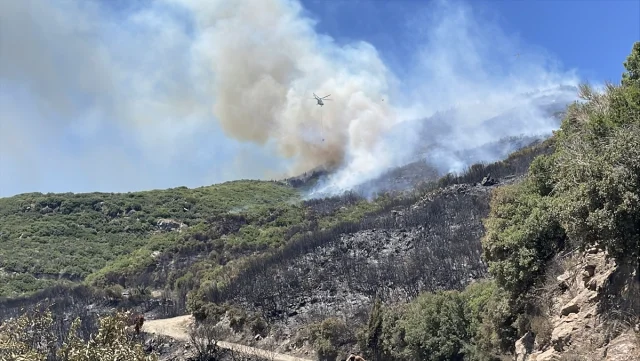 Aydın'da Ziraat Alanında Başlayan Yangın Kontrol Altına Alın...