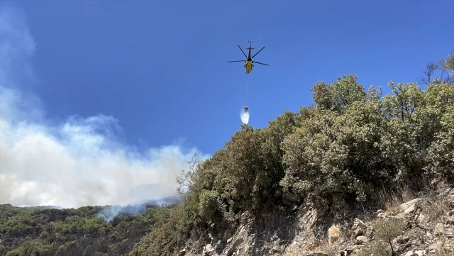 Aydın'da Ziraat Alanında Başlayan Yangın Kontrol Altına Alınıyor