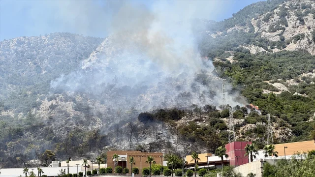 Bodrum'da Orman Yangını: Ekipler Seferber Oldu