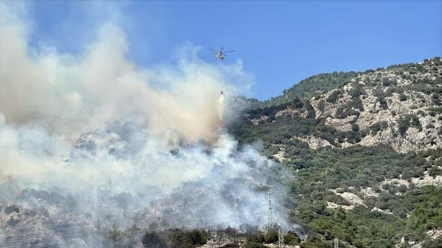 Bodrum'da Orman Yangını: Ekipler Seferber Oldu