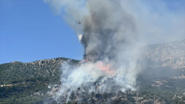 Bodrum'da Orman Yangını: Ekipler Seferber Oldu