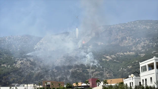 Bodrum'da Orman Yangını: Ekipler Seferber Oldu
