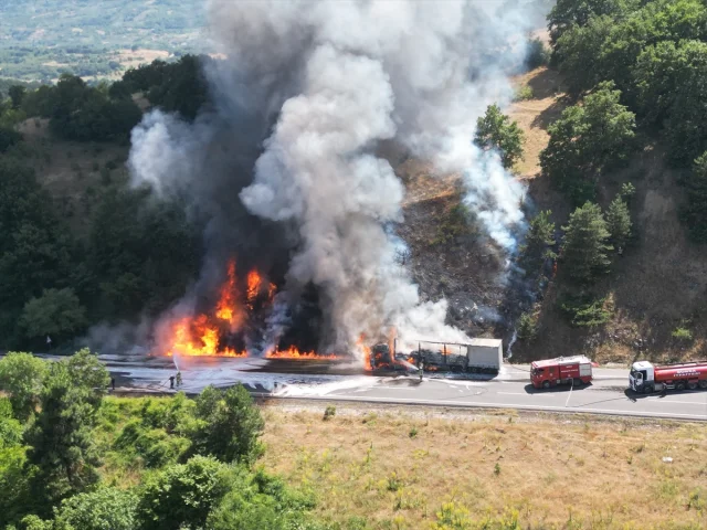 Bursa'da Tır Yangını Ormanlık Alana Sıçradı Trafik Durma Noktasına Geldi